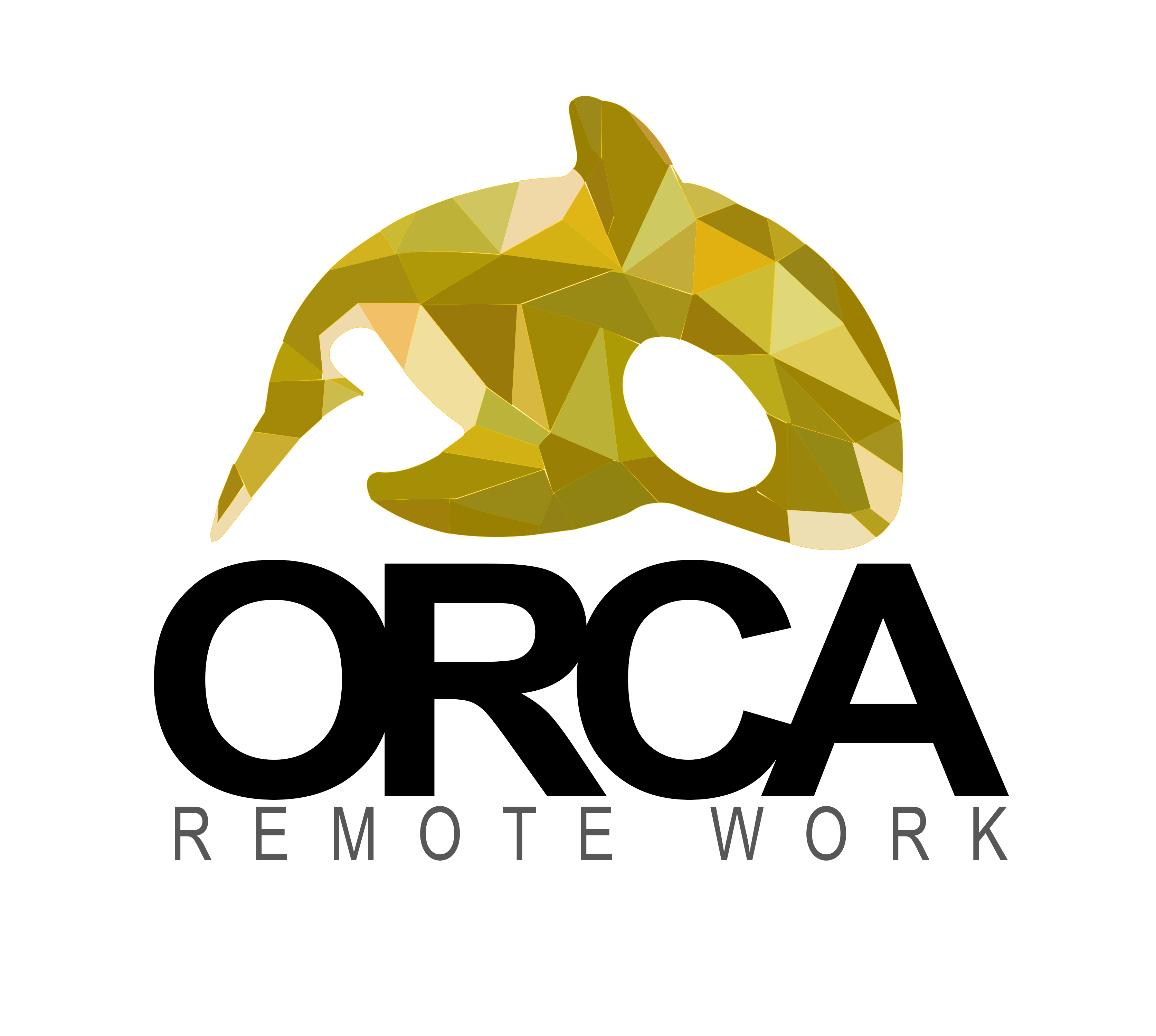 Orca Remote Work logo